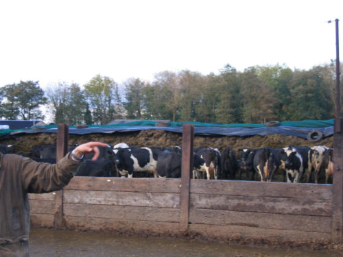 Studie reis Engeland Wales